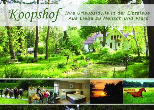 Seerose Alt Wendischthun Zewnętrze zdjęcie